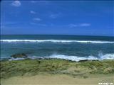 Playa Wilderness           - AGUADILLA